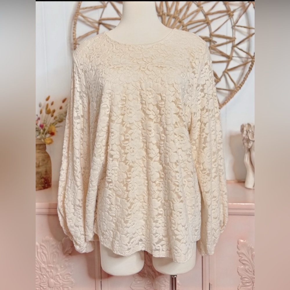 Maurices 1X Ivory Lace‎ Top